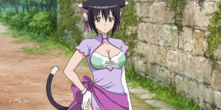 Top 5 Animes de RPG desconhecidos + Bônus