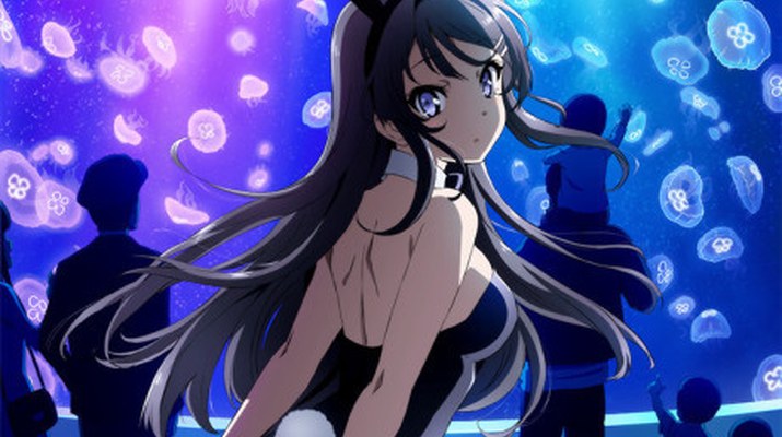 Seishun Buta Yarou wa Bunny Girl Senpai no Yume wo Minai visual
